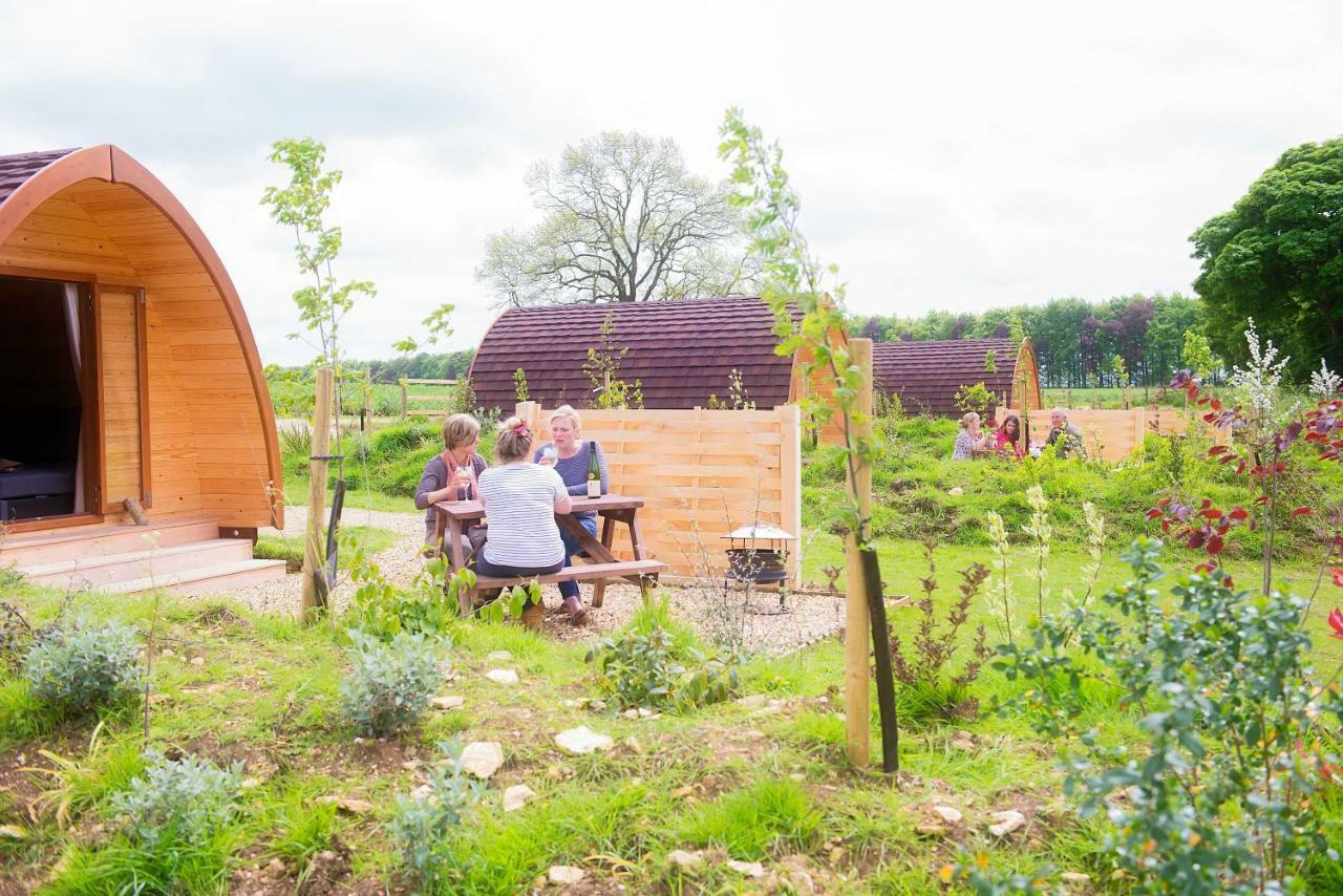 Mallow Glamping Pod Cheltenham Exteriér fotografie