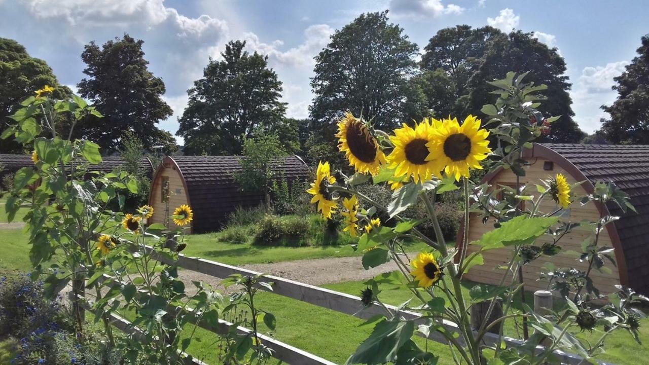Mallow Glamping Pod Cheltenham Exteriér fotografie